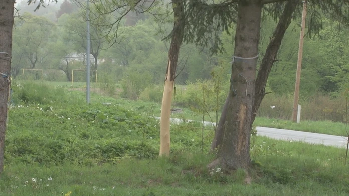 Trestanca Daniela Lewisa Leeho usvedčeného z vraždy trojčlennej rodiny z roku 1996 mali popraviť smrtiacou injekciou v americkom