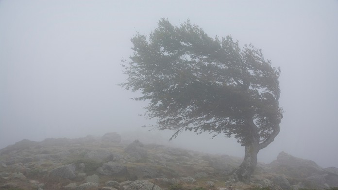 Ilustračná snímka