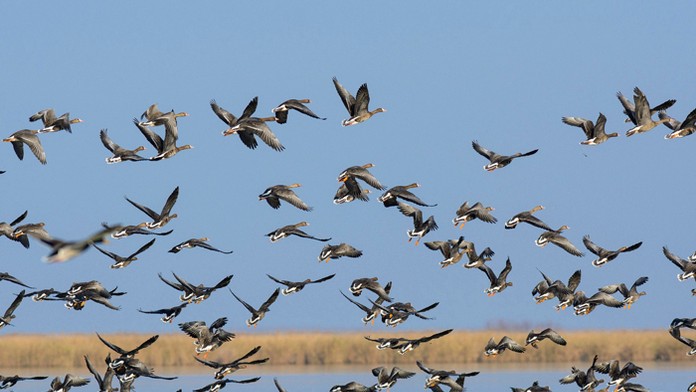 Ilustračná snímka.