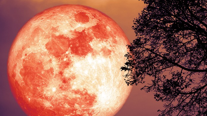 V noci zo soboty na nedeľu budeme môcť pozorovať "jahodový" spln. 