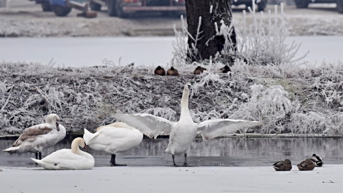 ilustračná snímka