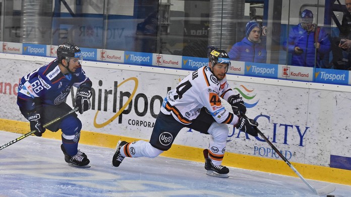 bozdosova zivak_tvnoviny.mp4