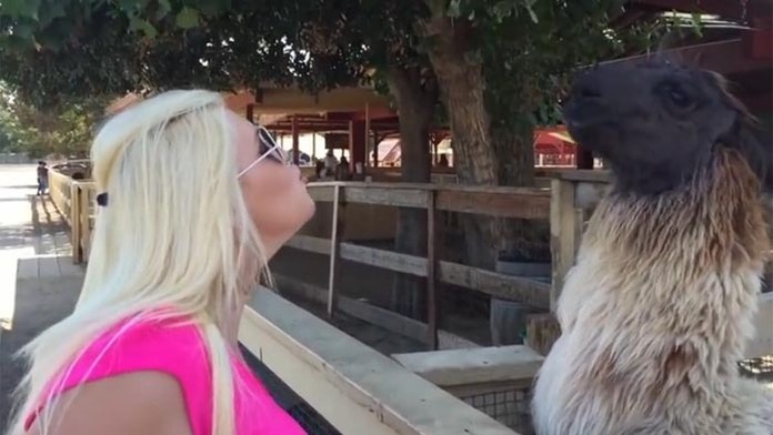 Blondínka sa prihovára lame. A potom to príde.