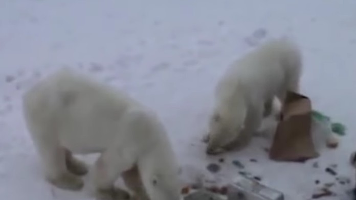Božanka a Martin Jakubec