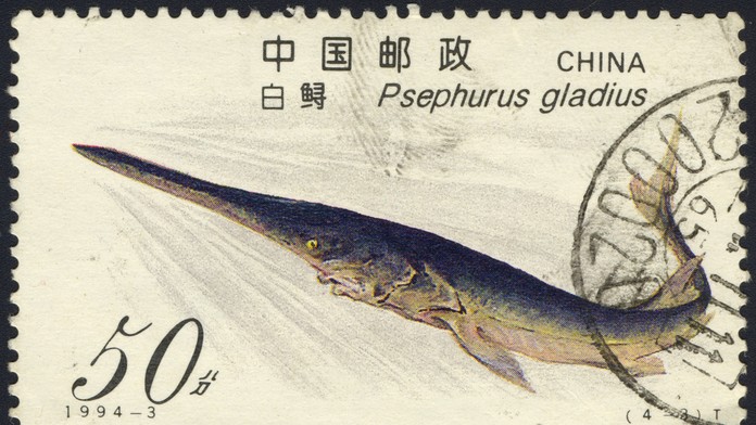 Veslonos čínsky na poštovej známke.