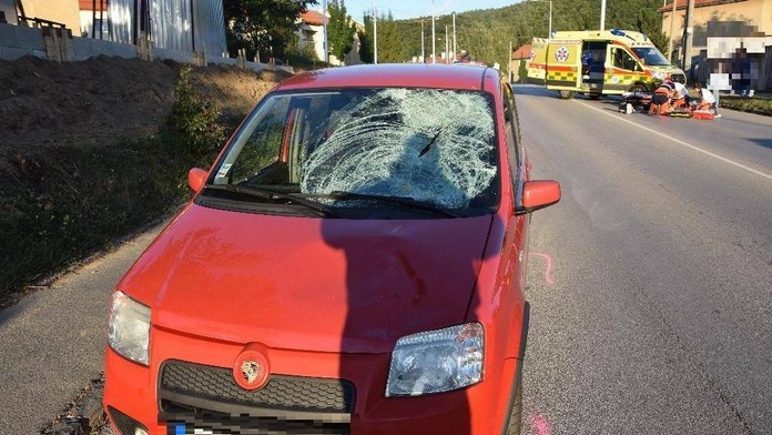 tresty farmárom.mp4