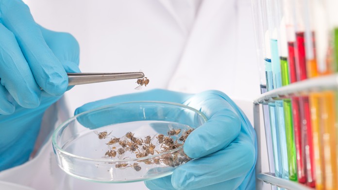 Podpredseda parlamentu Gábor Grendel (OĽaNO).