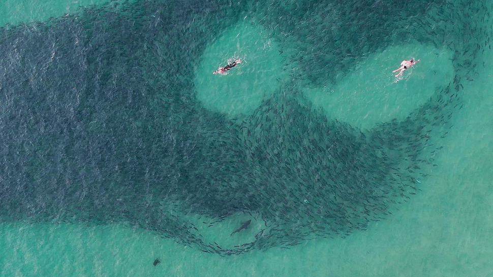 Prezident Magufuli v saune