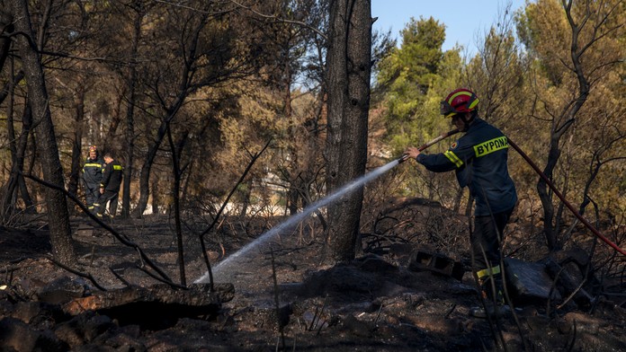 Anne Hathaway sa teší na druhé dieťa.
