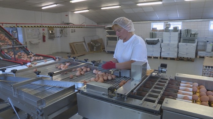 Ilustračná snímka