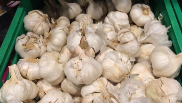 Cesnak - ilustračná snímka.