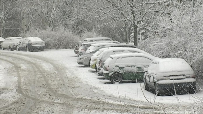 17 Polkalamita DEMO.transfer33web_jpg_bez_watermarku_1.jpg