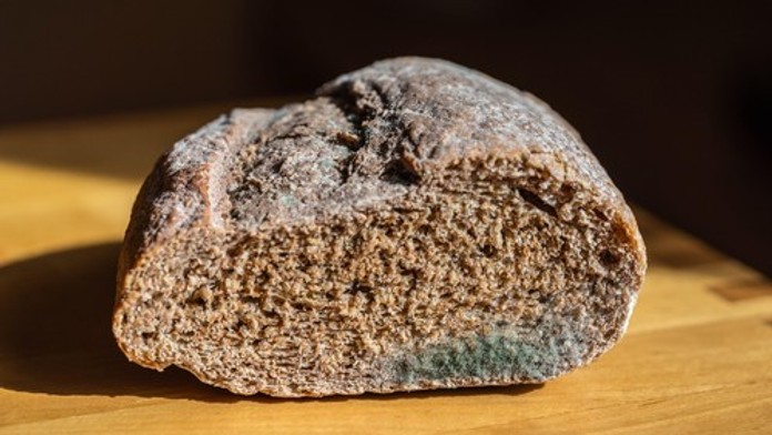 Vyhodiť či stačí odrezať? Odborníci vysvetľujú, ako naložiť s plesnivým jedlom