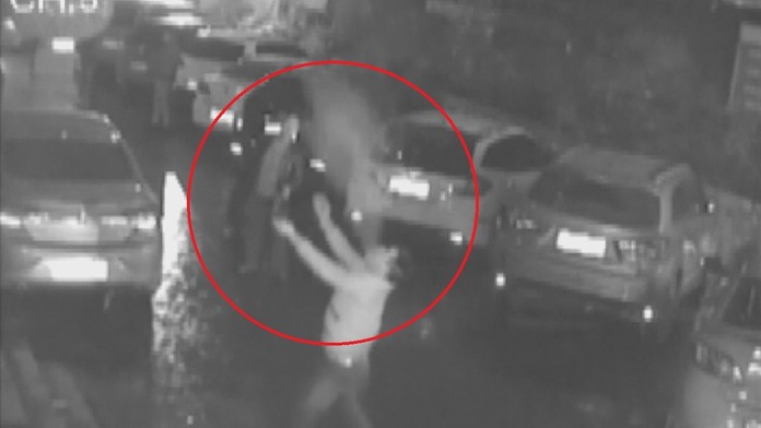 Ženu chcel chytiť holými rukami