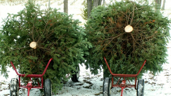 Vianoce, stromček
