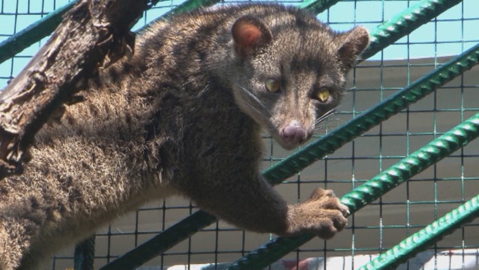 1_plavcan_DNES_tvnoviny.mp4