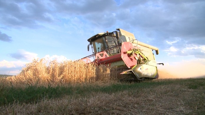 Ilustračná snímka