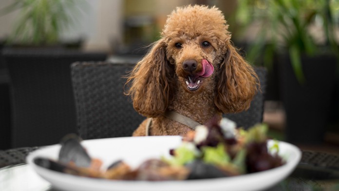 Cyklón Idai v Afrike