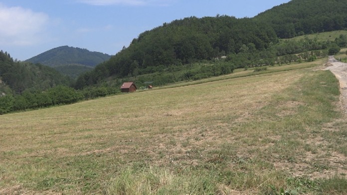 Tenistka Danielle Collinsová v 3. kole Wimbledonu.