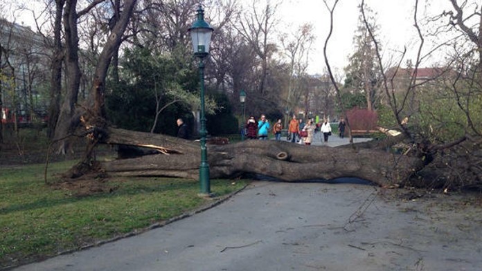 Škody po víchrici v Rakúsku