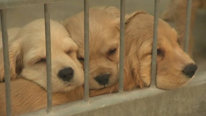 Ilustračná snímka.