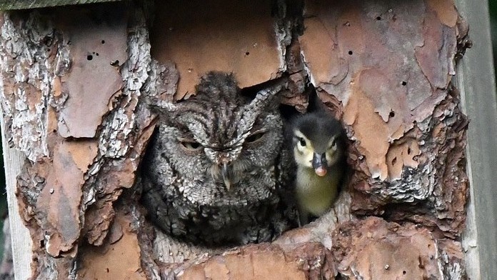 viktor_markiza_sk_bez_loga_1.mp4