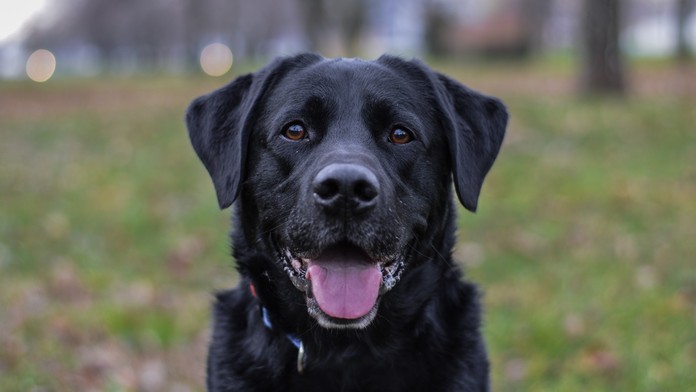 Ilustračná snímka.