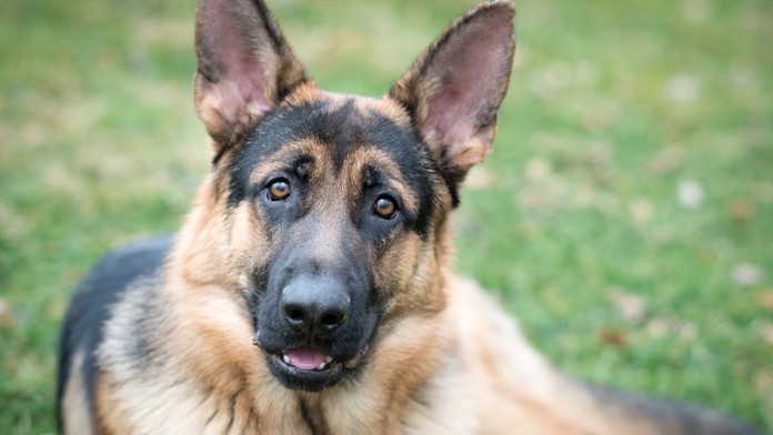 Koronavírus vo svete