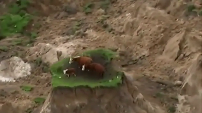 Kravské Robinsonky.