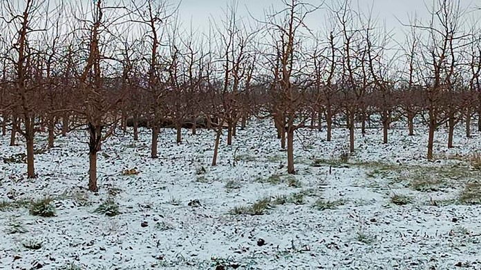 Zvyšky rakety našli na ukrajinsko-moldavskej hranici.