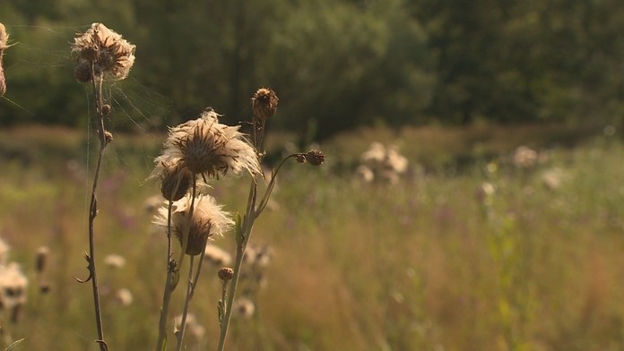 Druhý dych: 33. a 34. epizóda