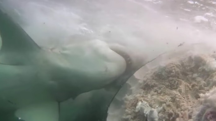 2107_Klamal_by_som_ti__21_07_P30_Ut_22_45__12___VOYO.mp4