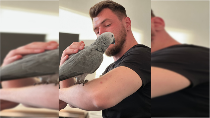 Stratil sa Bobo, vzácny papagáj. Majiteľ po ňom už týždeň pátra. „Mám ho neskutočne rád, chýba mi,“ hovorí a ponúka odmenu