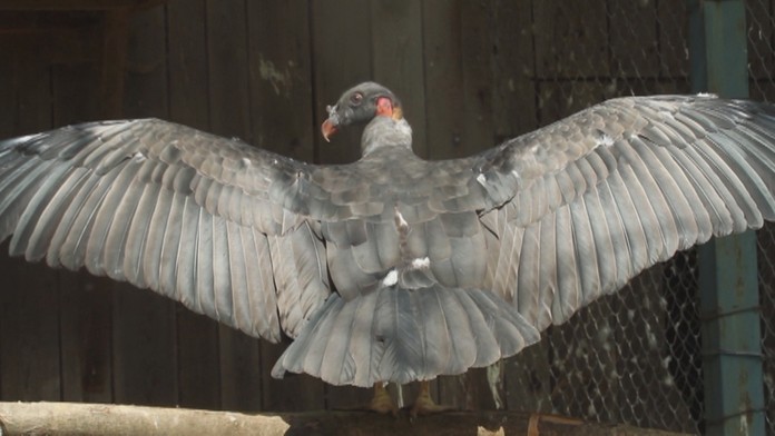 Ilustračná snímka.