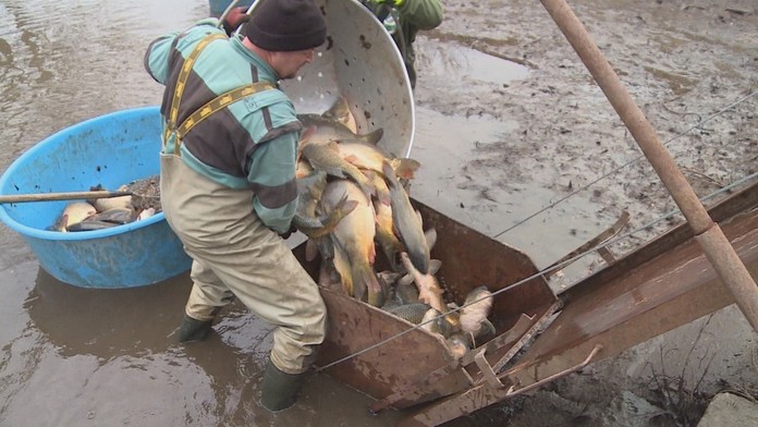 Na snímke Jozef Kuciak, otec zavraždeného Jána Kuciaka a  Zlatica Kušnírová, matka zavraždenej Martiny Kušnírovej.