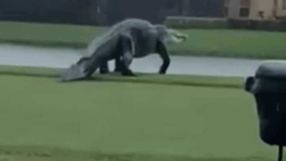 Slovné nadávky poslancovi SaS Miroslavovi Žiakovi.