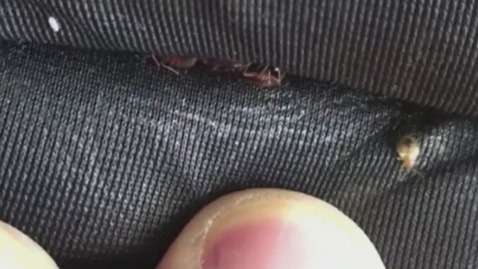 17_sivak_skola_tvnoviny.mp4