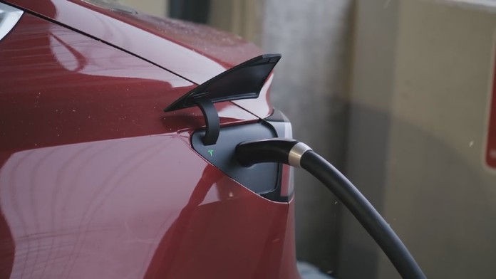 Jeden z 38 medveďov, ktorých naúpočítali na poli.