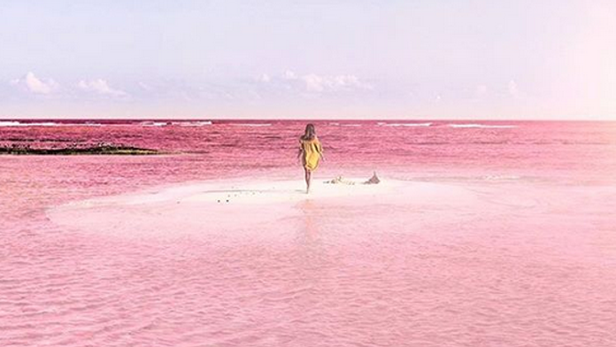Ružová lagúna. 