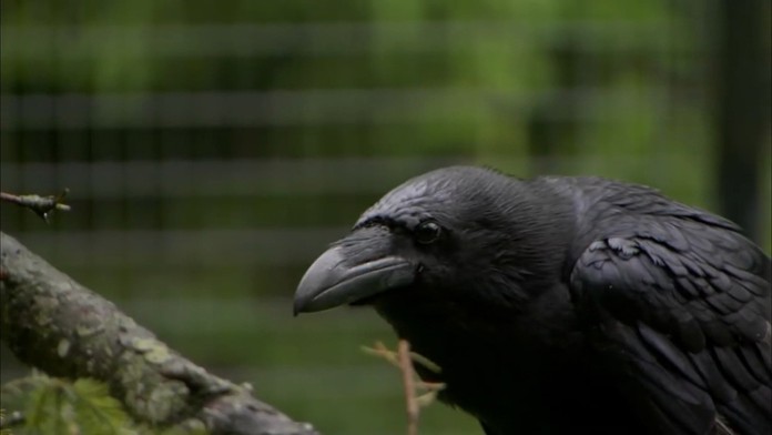 Podpredseda parlamentu Gábor Grendel (OĽaNO).