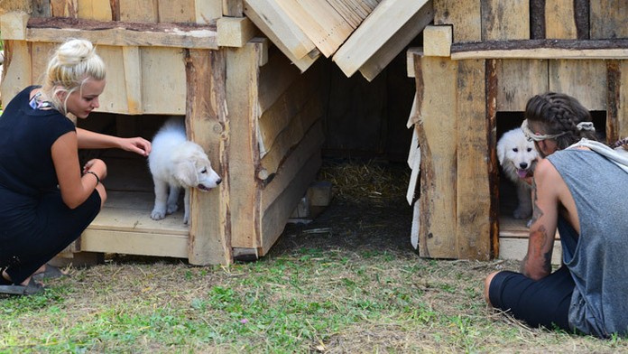 Šteniatka farmárov veľmi potešili