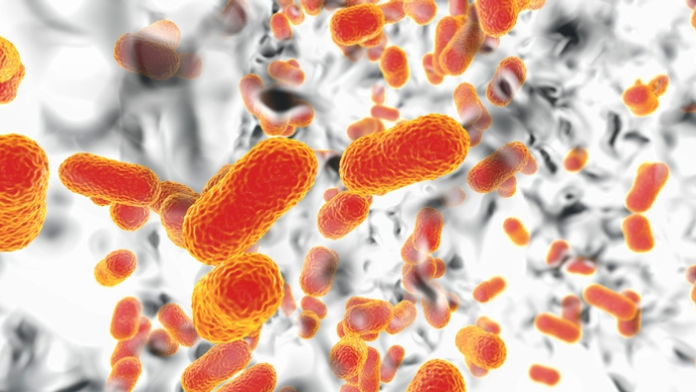 Vysoko nebezpečný mikrób má konečne nepriateľa. Vedcom sa podarilo vytvoriť nové antibiotikum