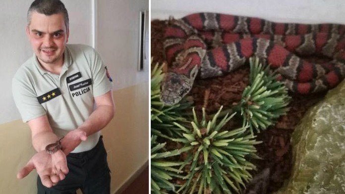 Had Peter na policajnej stanici v Žiline.