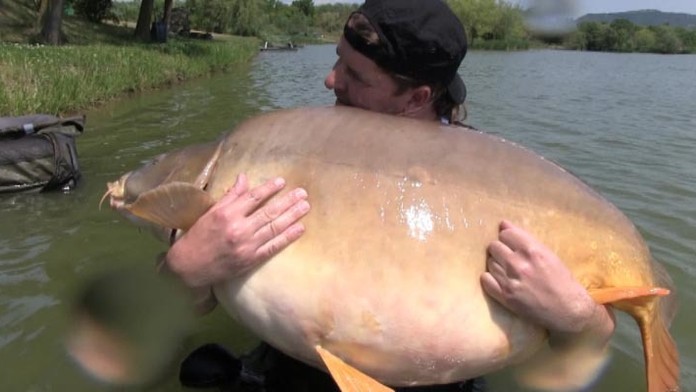 Čech chytil rekordného kapra