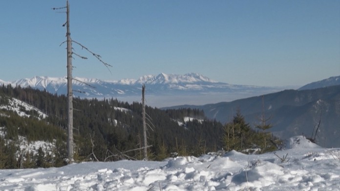 Gastronomické trendy.