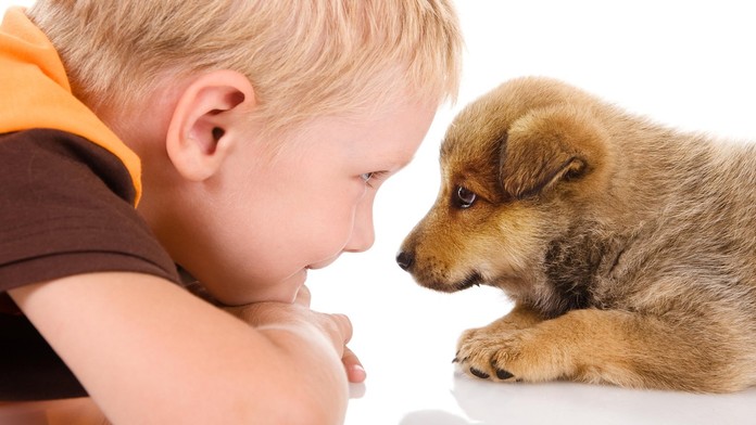 Ilustračná snímka.