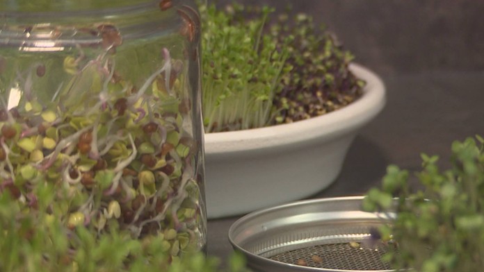 Ilustračná snímka.