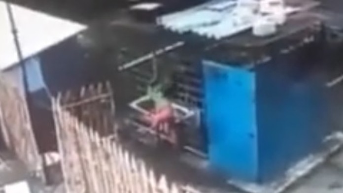 Na telo plus špeciálne v inom čase. Hostia okomentujú výsledky volieb v USA