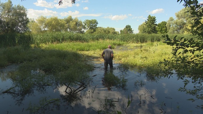 Roky sledujú život tohto chráneného živočícha. Málokto vie, že sú u nás miesta, kde prirodzene žije