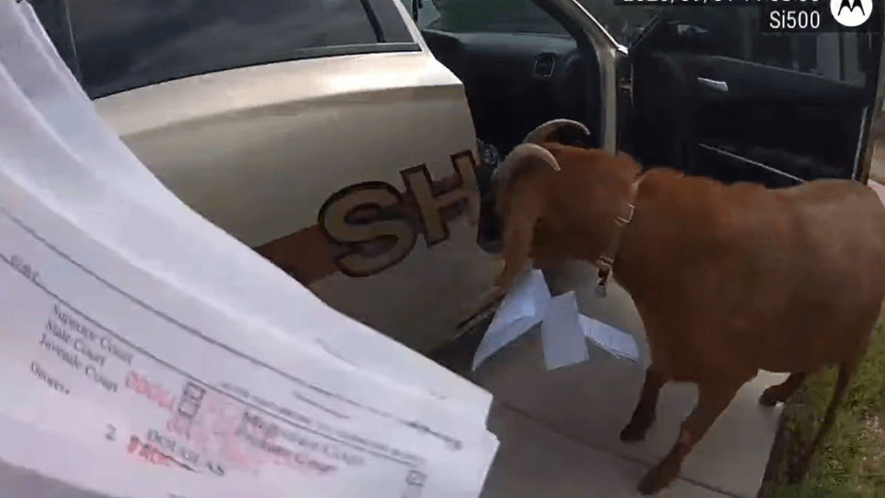 Kamión sa zrazil s osobným autom